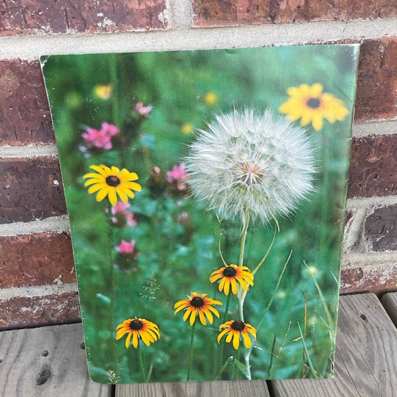 Vintage Preowned National Wildlife Magazine June July 1977 - Picture 5 of 7